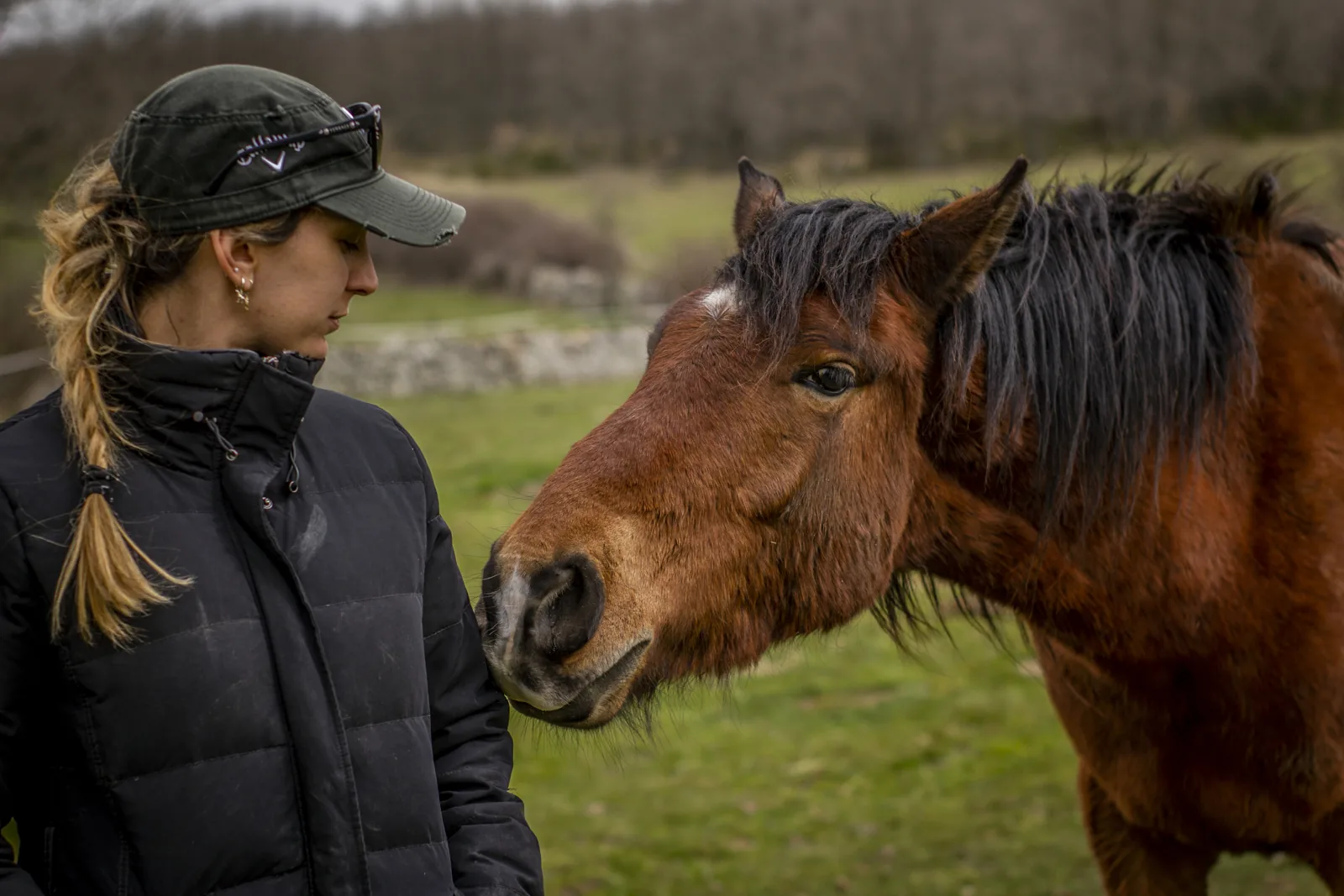 Encuentro respetuoso con un caballo